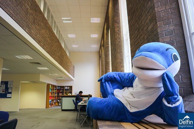 Delfin English School
