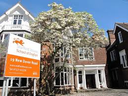 Stafford House International-Camridge